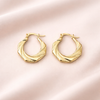 Ginni Twist Hoop Earrings