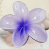 Glow Petal Claw Clip