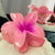 Glow Petal Claw Clip