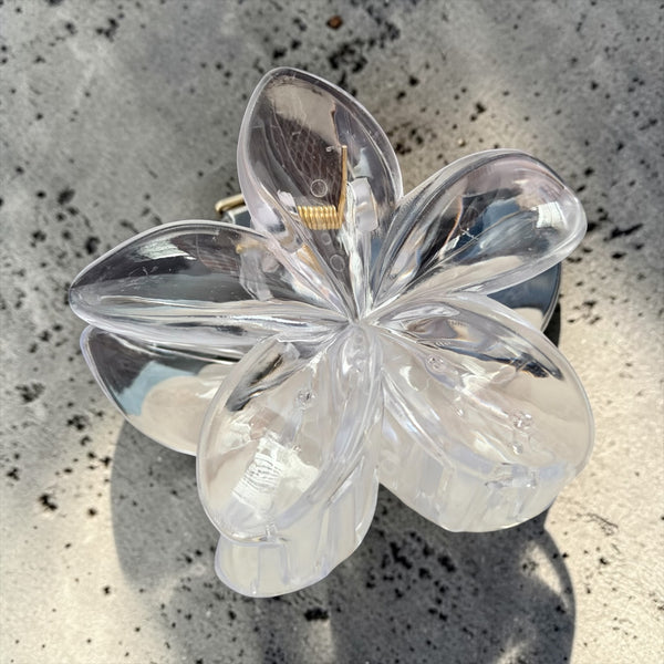 Glass Petal Claw Clip